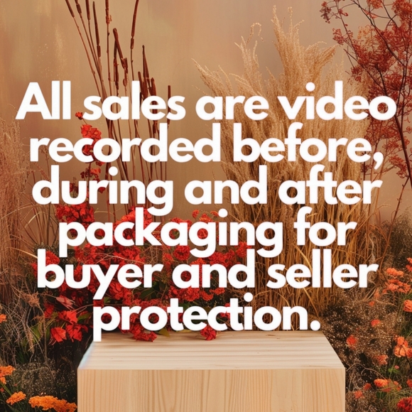 Leopard Print Jeans Curvy Skinny Push Up SHAPE & SLIM Black Gray Grey - Picture 13 of 14